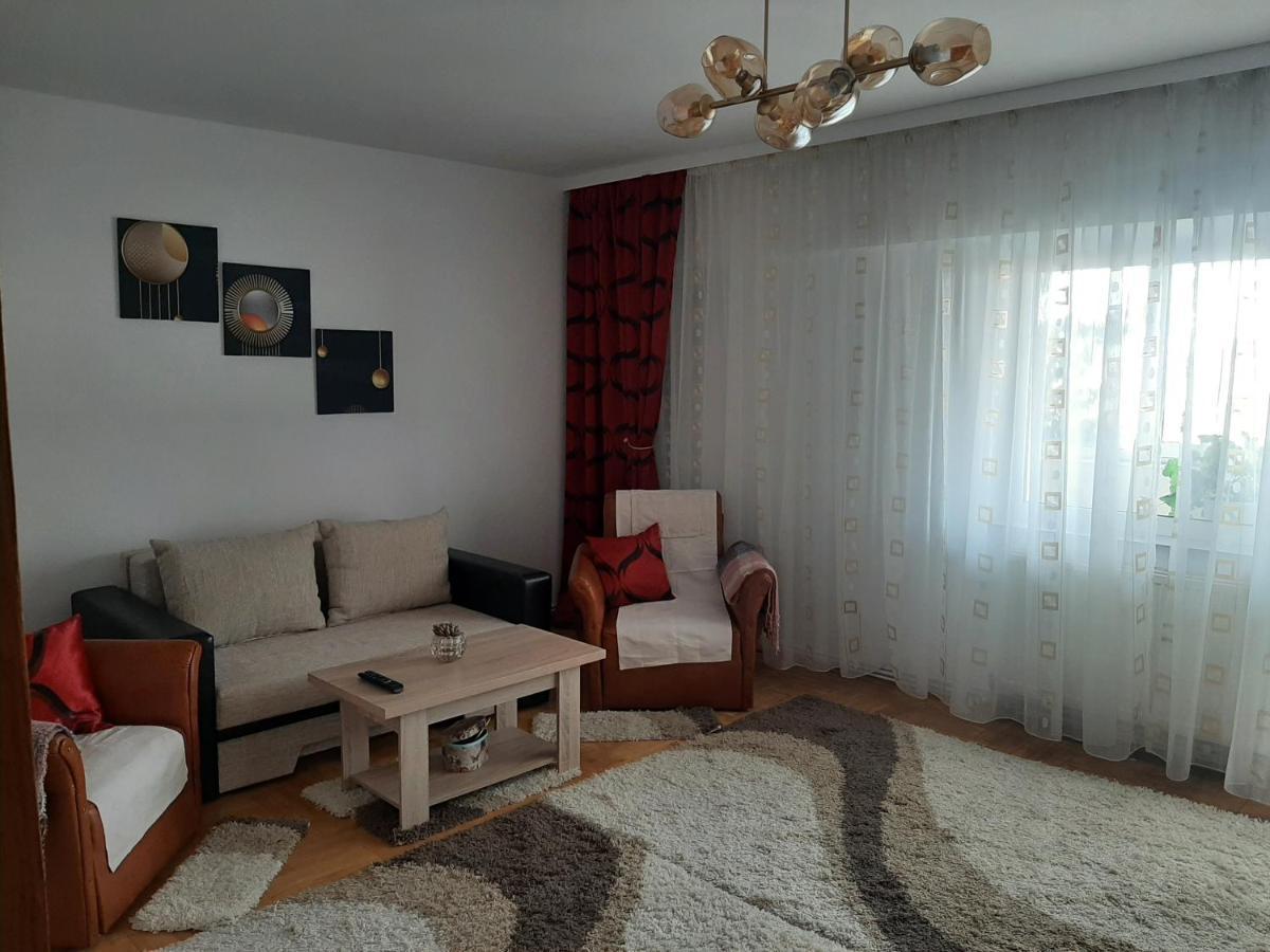 Ultracentral,Parcul Catedralei,Apartament 2 Camere Bacău Екстериор снимка
