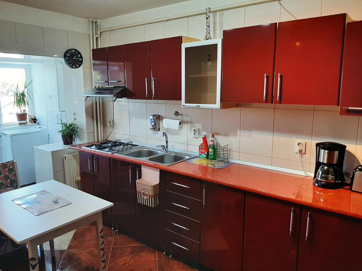 Ultracentral,Parcul Catedralei,Apartament 2 Camere Bacău Екстериор снимка