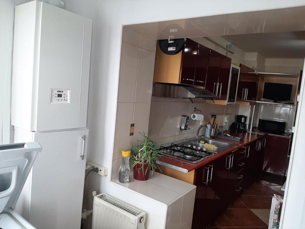 Ultracentral,Parcul Catedralei,Apartament 2 Camere Bacău Екстериор снимка